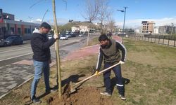 Batman’da Fidan Seferberliği