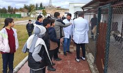 Batman’da öğrenciler barınakta can dostlarıyla buluştu