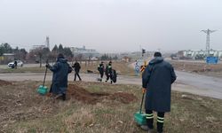 Çevre Yolunda 190 Ton Atık Toplandı