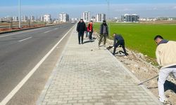 Hasankeyf Yolu Yeşile Boyanıyor