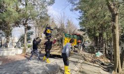 Mezarlıkta Budama ve Temizlik Çalışmaları Tamamlandı