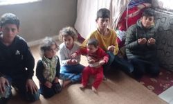 8 Çocuklu Anne Feryat Etti