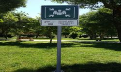 Afetlere Hazırlıkta Kapsamlı Çalışma