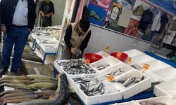 Batman’da balık mesaisi başladı