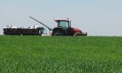 Batman’da Çiftçilere Uyarı: Artan Yağışlar Verimi Tehdit Ediyor!