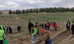 Batman’da Şiddete Karşı Fidanlar Toprakla Buluştu