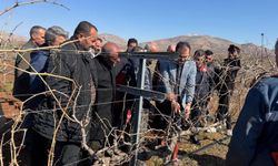 Gercüş Bağlarında Modernizasyon İçin İlk Adım Atıldı
