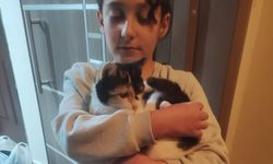 Kedisi İçin İtfaiyeyi Aradı, Mutlu Son Teşekkürle Bitti