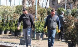 Meyve fidanı dikim sezonu başladı