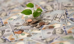 DG Para Nedir, Güvenilir mi? (Şikayet ve Yorumlar)