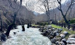 Sevek Baharla Yeniden Canlandı: Bu Güzelliği Görmeye Hazır mısınız?