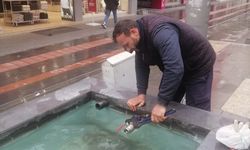 Süs Havuzları İlkbahara Hazır