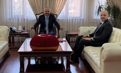 TUİK Siirt Bölge Müdürü Valiyi Ziyaret Etti