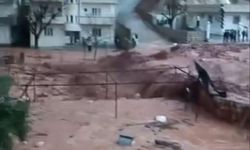 Yoğun yağış sele neden oldu