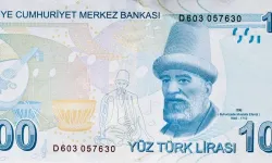 100 TL' nin arkasında kim var?