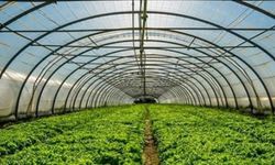 %50 Hibe Fırsatı! Batman’da Seracılıkta Yeni Dönem Başladı