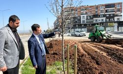 6 Kilometrelik Yeşil Dokunuş: Batman’ın Girişine Modern ve Estetik Kimlik