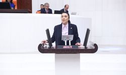 Meclis Kürsüsünde Ağrı Şahlanışı: Milletvekili Kilerci’den Tarihi Yatırım Çıkartması