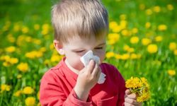 Bahar Alerjilerine Dikkat: İklim Değişikliği Şikâyetleri Artırıyor