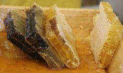 BALDA 'SAHTE' DUVARINA SON: ARICILIKTA YENİ DÖNEM BAŞLIYOR!