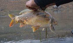 Batman’da Balık Avlamak Yasak mı?
