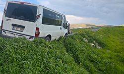 Başıboş Köpekler Panik Yarattı: Sürücü Kazadan Son Anda Kurtulamadı