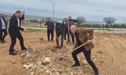 Batman Üniversitesi Yeşile Bürünüyor: Kampüste Büyük Dönüşüm