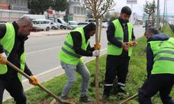 Batman’a 900 Yeni Nefes: Ağaçlandırma Seferberliği Sürüyor