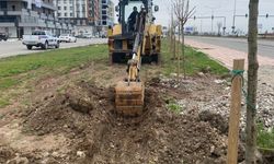 Batman’da 15 Kilometrelik Dev Yeşillendirme Hamlesi!