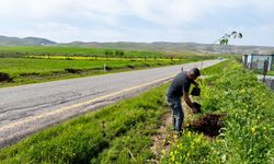 Batman’da 7 Köyün Yolları Meyve Ağaçlarıyla Donatıldı