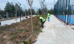 Batman’da 80 Dönümlük Millet Bahçesi Bahara Hazırlanıyor