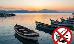 Batman’da Balık Avına 3 Aylık Fren: Yasak Başladı!