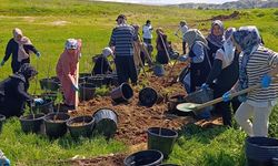 Batman’da Dev Yeşil Hamle: 9 Bin 460 Meyve Fidanı Toprakla Buluşuyor