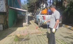 Batman’da Haşereye Geçit Yok! 14 Kişilik Ekip Sahada