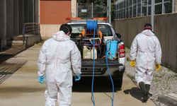 Batman’da Haşereye Karşı Seferberlik