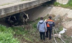 Batman’da "Sarı Kız” Alarmı: Günlerce Arandılar Köprü Altında Bulundular