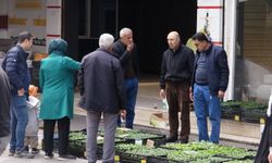 Batman’da Toprakla Buluşma Vakti: Tezgahlarda "Fide" Mesaisi Başladı!