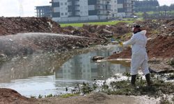 BATMAN’DA YAZ ÖNCESİ YOĞUN İLAÇLAMA MESAİSİ