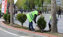 Batman’da Yeşil Dönüşüm Sessiz Sedasız İlerliyor: Şehir Nasıl Bu Kadar Değişiyor?