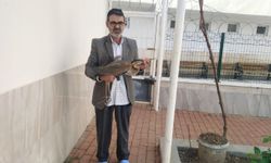 Cami Avlusunda Duyarlılık Örneği: Yaralı Balıkçıl Kuşu Cemaatin Dikkatiyle Kurtarıldı