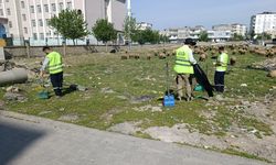 Gece Gündüz Durmadan Şehir Yenileniyor!