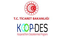 Kadın Kooperatiflerine Dev Destek: 1 Milyon TL’ye Kadar Hibe Fırsatı Başladı