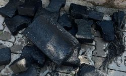 Mazgallara Atılanlar Şoke Etti: Bu Görüntüler Ders Olacak mı?