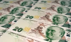 20 TL'nin arkasında kim var neden?