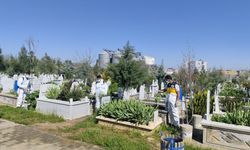 Mezarlıklarda Bahar Seferberliği: 13 Noktada Yoğun Çalışma Başladı!