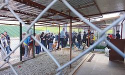 Öğrenciler Can Dostlarla Buluştu