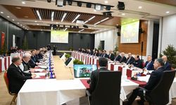 Orman Yangınlarına Karşı Alarm: 30 İl Tek Masada