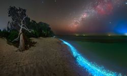 Nisan 2026 Güncel Rehber Sea of Stars APK Nasıl İndirilir? Son Sürüm