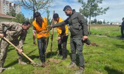 Polis Haftasında Anlamlı Etkinlik Fidanlar Toprakla Buluştu