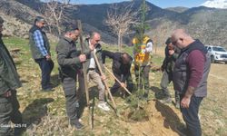 Şehitler İçin Toprakta Yaşayan Vefa: Batman’da “Hatıra Ormanı” Oluşturuldu
